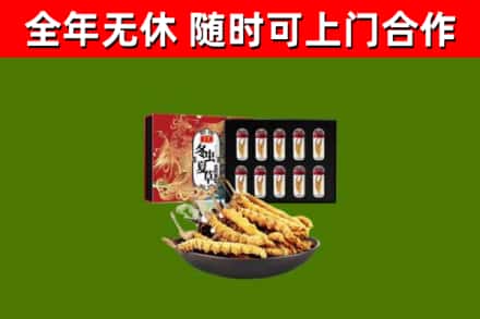 连城县回收冬虫夏草价格